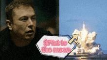 Flut Elon Flut GIF - Flut Elon Flut GIFs