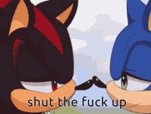 Shut Up Sonic And Shadow Sonic GIF - Shut Up Sonic And Shadow Shut Up Sonic GIFs