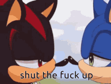 shadow the hedgehog and sonic the hedgehog are looking at each other with the words shut the fuck up in the corner