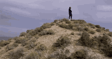 Top Of The Mountain Kevin Gates GIF - Top Of The Mountain Kevin Gates Grandmotha Grave GIFs