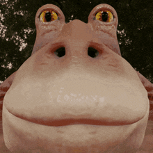 a close up of a frog 's face with a large mouth