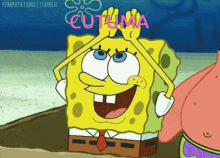 Cutuma Spongebob GIF - Cutuma Spongebob GIFs