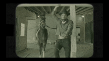 Cowboy Rodeo GIF - Cowboy Rodeo Ctdumminchallenge GIFs