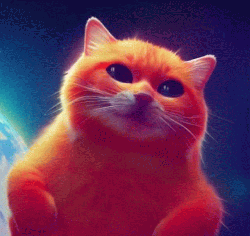 Meow Gif Meow Discover Share Gifs