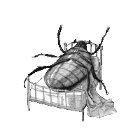 a black and white drawing of a beetle laying on a bed