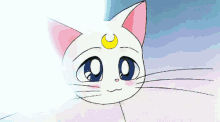 sailor moon luna the cat luna cat bigeyes