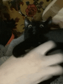 What Shocked GIF - What Shocked Omg GIFs