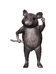 funny rat funny rat mouse dancing