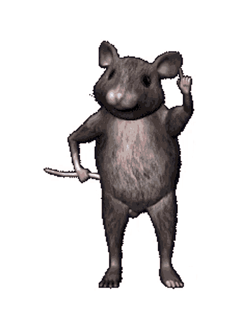 Funny Rat Funny Sticker - Funny Rat Funny Rat - Discover & Share GIFs