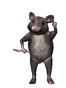 Funny Rat Funny Sticker - Funny Rat Funny Rat Stickers