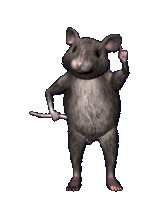 Funny Rat GIFs | Tenor