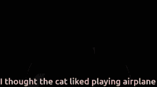 Shane Dawson Cat GIF - Shane Dawson Cat Airplane GIFs