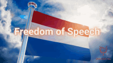 Freedom Of Speech Free Speech GIF - Freedom Of Speech Free Speech Pvv GIFs