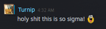 a screenshot of a conversation between turnip and sigma