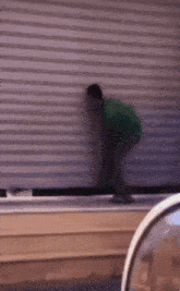 a person in a green shirt is standing in front of a rolling garage door