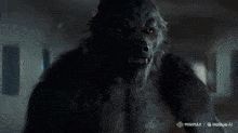 a werewolf is standing in front of a door that says ambulance