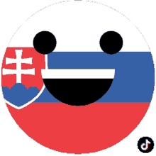 slovakia tiktok excited happy tik tok euro