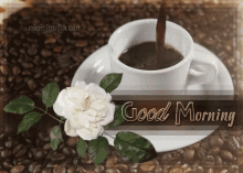 Good Morning White GIF - Good Morning White Rose GIFs