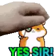 a hand is petting a hamster with the words yes sir written below it .