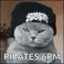 a cat wearing a black beanie is sitting in front of a sign that says pilates 6 pm .