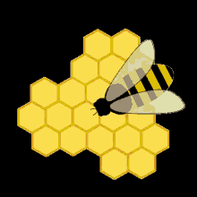 Honey GIF - Honey Bee GIFs