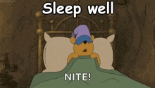 Sleepwell Goodnight GIF - Sleepwell Goodnight Bed GIFs