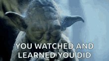 Yoda Watch And Learn GIF - Yoda Watch And Learn GIFs