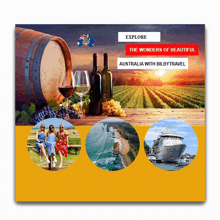 Yarra Valley Private Winery Tours GIF