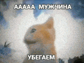 a blurred image of a dog with the words " aaa " and " yugaem "
