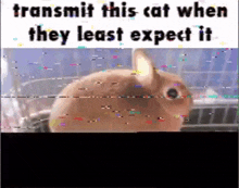 a rabbit is sitting in a cage with the words `` transmit this cat when they least expect it '' written above it .