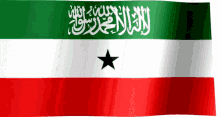 Somaliland Flag GIF