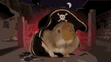 Pirateship Guinea Pig GIF - Pirateship Guinea Pig Guinea Pirate GIFs