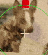 a dog is in a green circle with a red square and a plus sign