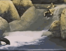 a group of people are riding down a water slide in the water .