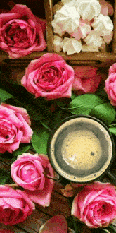 Rózsa Habcsokal Kávé GIF - Rózsa Habcsokal Kávé GIFs