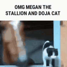 Megan Thee GIF - Megan Thee Stallion GIFs