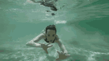 Underwater Just GIF - Underwater Just Keep GIFs