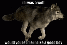 Wolf Good Boy GIF - Wolf Good Boy If I Was A Wolf GIFs