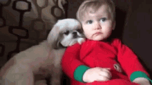 Baby Dog Cuddle GIF - Baby Dog Cute GIFs