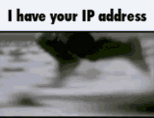 I Have Your Ip Address Hulk GIF - I Have Your Ip Address Hulk Run GIFs