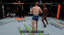two men are fighting in a ufc ring with a howler head banner in the background