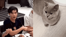 Fourth Cat GIF - Fourth Cat Munmuang GIFs