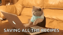 Cat Typing GIF - Cat Typing Typing On Computer GIFs