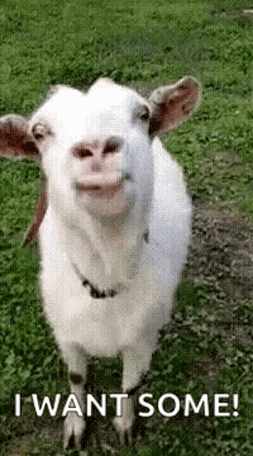 Eat Out Eating Out GIF - Eat Out Eating Out Reaction GIFs