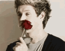 One Direction Rose GIF - One Direction Rose Niall Horran GIFs