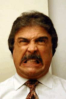 The Many Faces Of Lou Anger GIF - The Many Faces Of Lou Anger GIFs