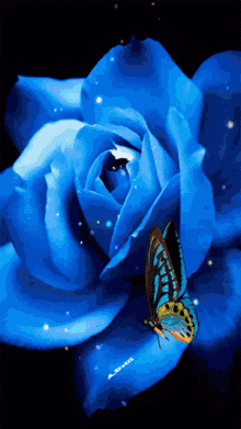 Blue Rose Butterfly GIF - Blue Rose Butterfly Flower GIFs