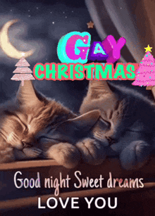 two cats sleeping on a window sill with the words " gay christmas " above them