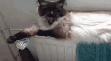 a cat is laying on a radiator with its tongue hanging out and playing with a thermostat .