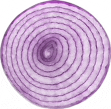 a close up of a slice of purple onion showing the inside of the onion .